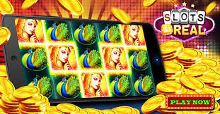 practical step by step tk333 Bet Guide use for adult members